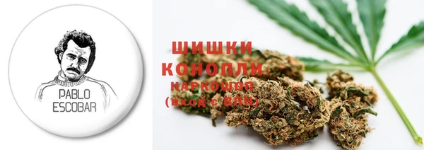 тгк Кулебаки