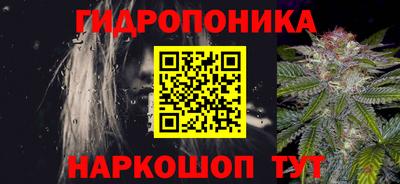 ешки Гатчина