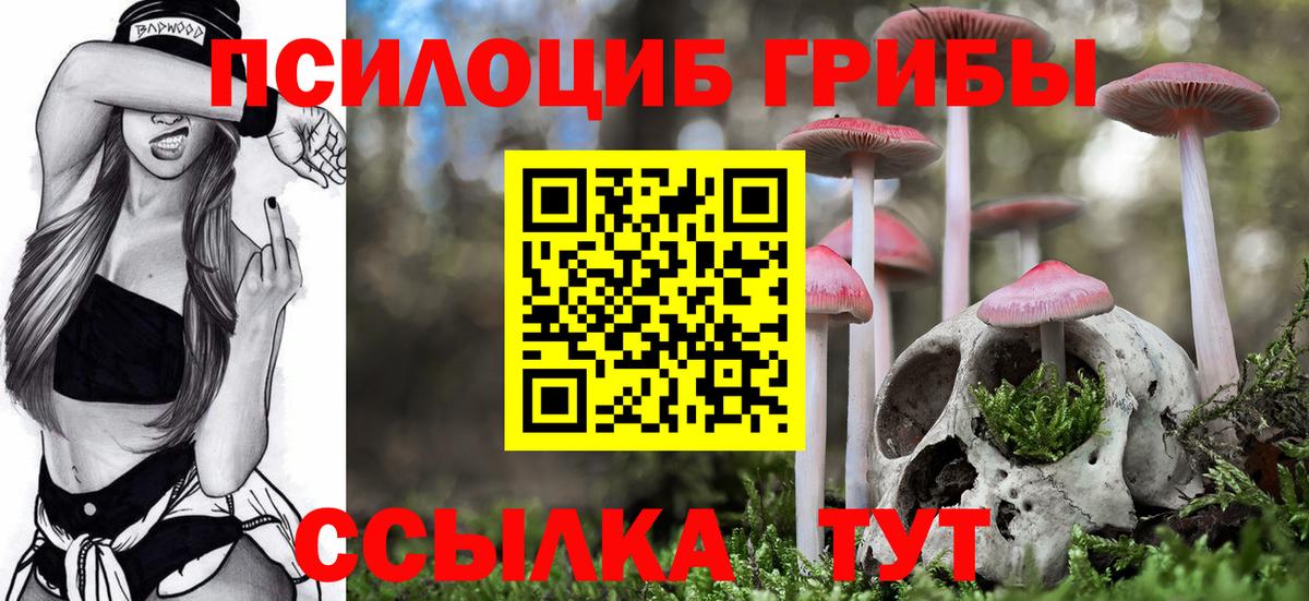 Псилоцибиновые грибы ЛСД  Вход с VPN  Каменск-Уральский 